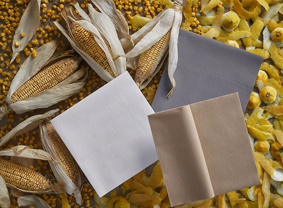 Bio napkins on a background of lemon peels and corn