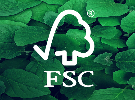 Sustainability - FSC.jpg